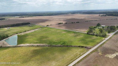 Gorgeous 4.29-Acre WATERFRONT Homesite in SandHill Farms! Lot 4 - photo 15