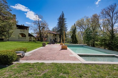 R1A zoned, R3A zoned, agriculture zone approved, infinity pool - photo 5