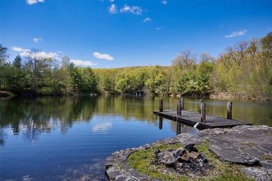 R1A zoned, R3A zoned, agriculture zone approved, infinity pool - photo 6