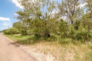 Lake Lot For Sale in Granite Shoals, Texas