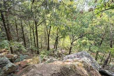 Nestled on 30 pristine acres and bordered on two sides by the - photo 34
