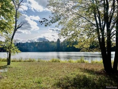 (private lake, pond, creek) Lot Sale Pending in Posen Michigan