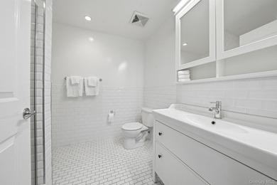 A newly gut-renovated boutique condominium offering - photo 8