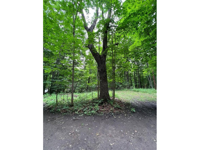 Don't miss this chance to own nearly 2.5 acres with over 210 - photo 11