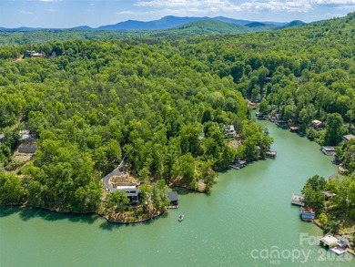 Lake Lure is back and here's your chance to own it's best - photo 11