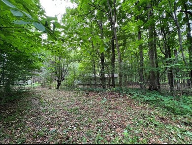 Don't miss this chance to own nearly 2.5 acres with over 210 - photo 12