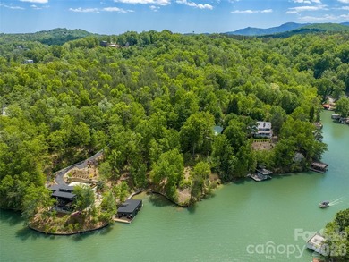 Lake Lure is back and here's your chance to own it's best - photo 12