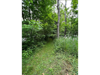 Don't miss this chance to own nearly 2.5 acres with over 210 - photo 13