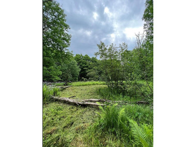 Don't miss this chance to own nearly 2.5 acres with over 210 - photo 14