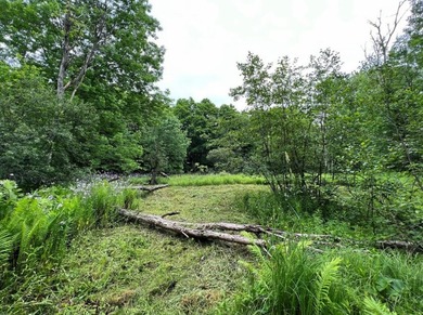 Don't miss this chance to own nearly 2.5 acres with over 210 - photo 15
