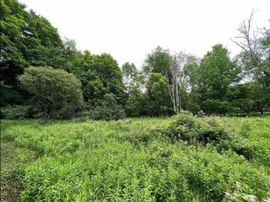 Don't miss this chance to own nearly 2.5 acres with over 210 - photo 16
