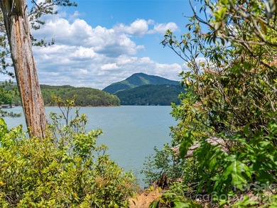 Lake Lure is back and here's your chance to own it's best - photo 17