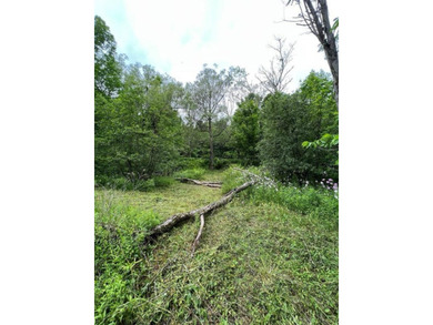 Don't miss this chance to own nearly 2.5 acres with over 210 - photo 18