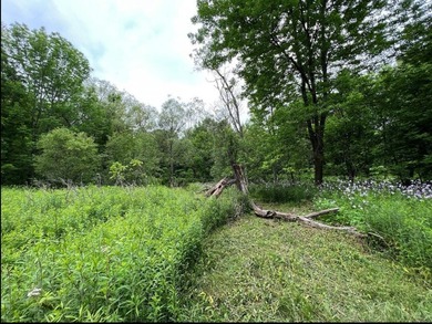 Don't miss this chance to own nearly 2.5 acres with over 210 - photo 19