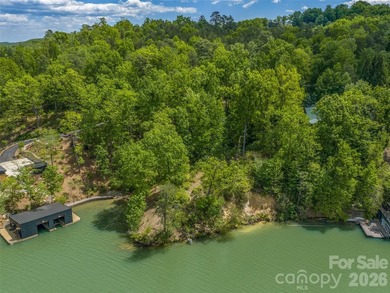 Lake Lure is back and here's your chance to own it's best - photo 20