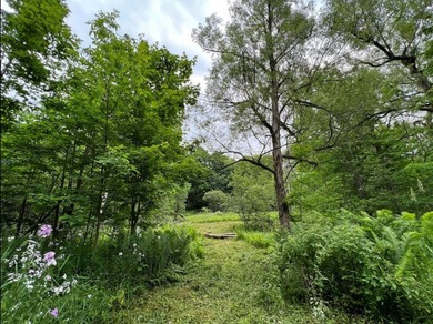 Don't miss this chance to own nearly 2.5 acres with over 210 - photo 21