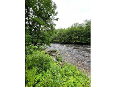 Don't miss this chance to own nearly 2.5 acres with over 210 - photo 22