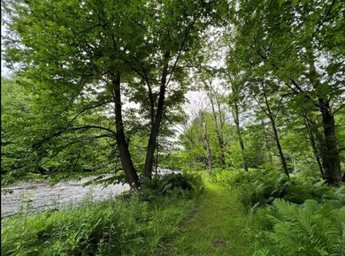 Don't miss this chance to own nearly 2.5 acres with over 210 - photo 25