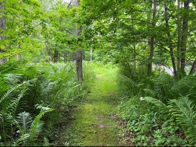 Don't miss this chance to own nearly 2.5 acres with over 210 - photo 27
