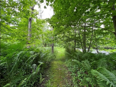 Don't miss this chance to own nearly 2.5 acres with over 210 - photo 28