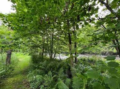 Don't miss this chance to own nearly 2.5 acres with over 210 - photo 29