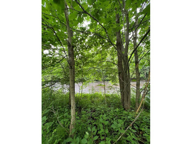 Don't miss this chance to own nearly 2.5 acres with over 210 - photo 30