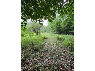 Don't miss this chance to own nearly 2.5 acres with over 210 - photo 31