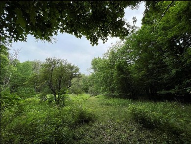 Don't miss this chance to own nearly 2.5 acres with over 210 - photo 32