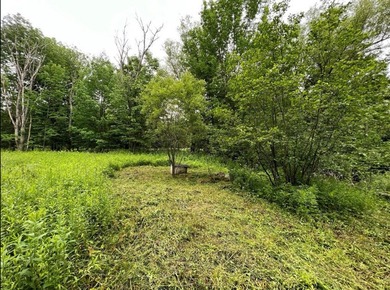 Don't miss this chance to own nearly 2.5 acres with over 210 - photo 34