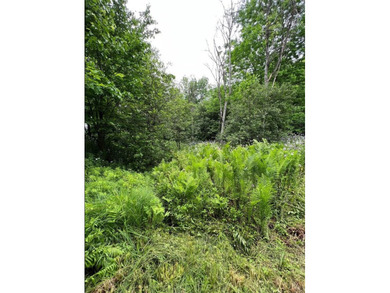 Don't miss this chance to own nearly 2.5 acres with over 210 - photo 35