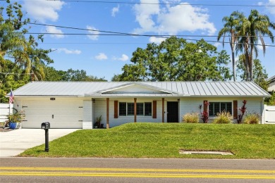 Lake Home Sale Pending in Lutz, Florida