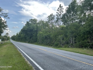 Lake Acreage For Sale in Alford, Florida