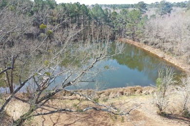 Private location. Nice home that needs some love. Over 47 acres - photo 14