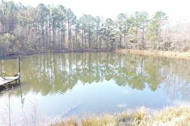 Private location. Nice home that needs some love. Over 47 acres - photo 22