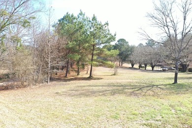 Private location. Nice home that needs some love. Over 47 acres - photo 24