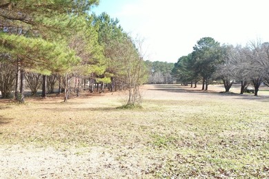 Private location. Nice home that needs some love. Over 47 acres - photo 25