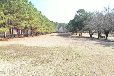 Private location. Nice home that needs some love. Over 47 acres - photo 26