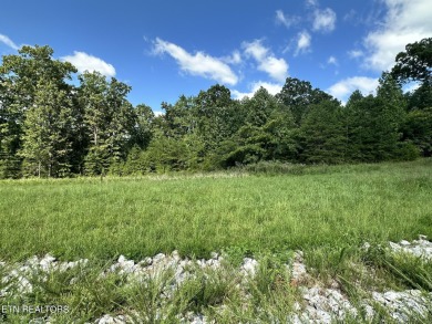 Norris Lake Lot For Sale in Lafollette Tennessee