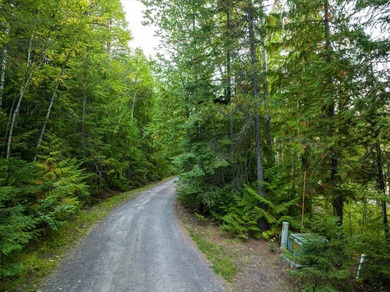 Beautiful forest on 11.59 acres above Swan Lake on the west - photo 14