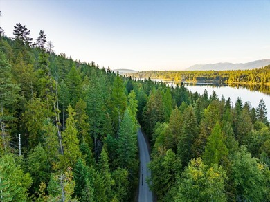 Beautiful forest on 11.59 acres above Swan Lake on the west - photo 15
