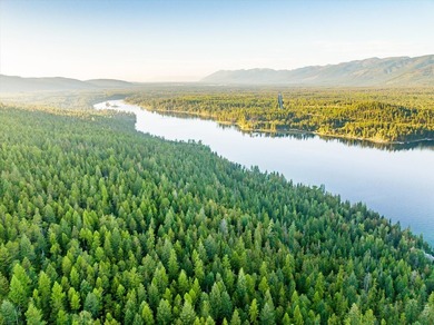 Beautiful forest on 11.59 acres above Swan Lake on the west - photo 21