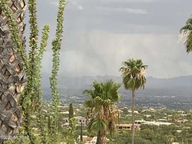 Walls of windows with million dollar views from this two units