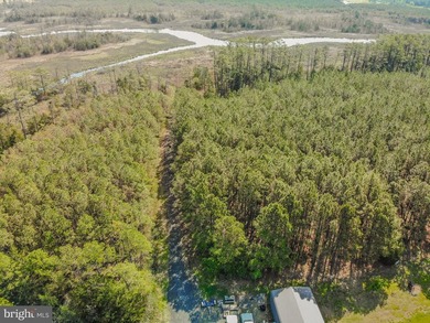 Presenting 26835 Roland Tyler Road, a distinguished, gated - photo 33