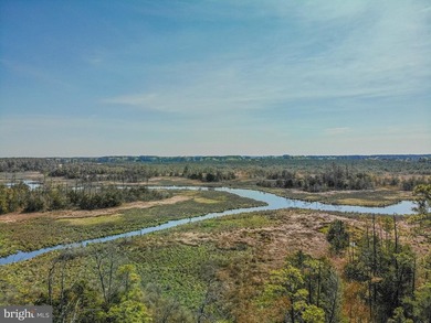 Presenting 26835 Roland Tyler Road, a distinguished, gated - photo 34