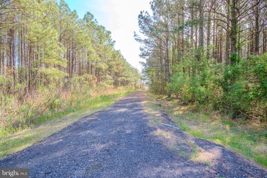 Presenting 26835 Roland Tyler Road, a distinguished, gated - photo 47