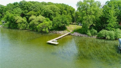Chippewa Lake Lot For Sale in Brandon Minnesota