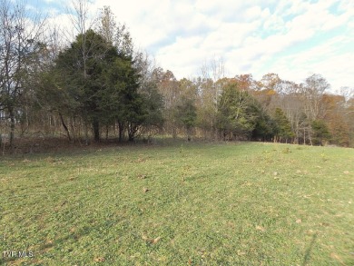 Lake Acreage For Sale in Johnson City, Tennessee