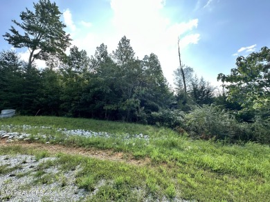 Lake Lot For Sale in Lafollette, Tennessee