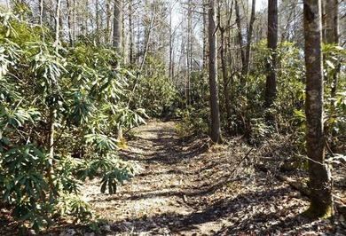 Eye Appealing from all Angles! Approx 288 Acres Nestled in the - photo 2