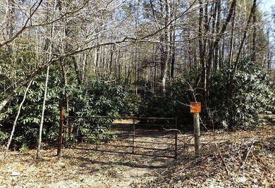 Eye Appealing from all Angles! Approx 288 Acres Nestled in the - photo 3